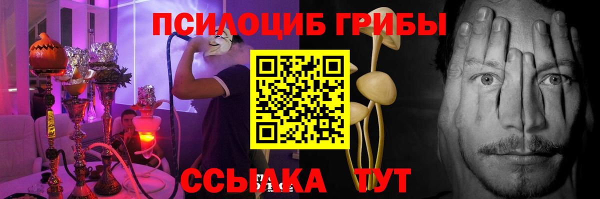 наркотики  Вход с VPN  Ипатово  Псилоцибиновые грибы MAGIC MUSHROOMS 